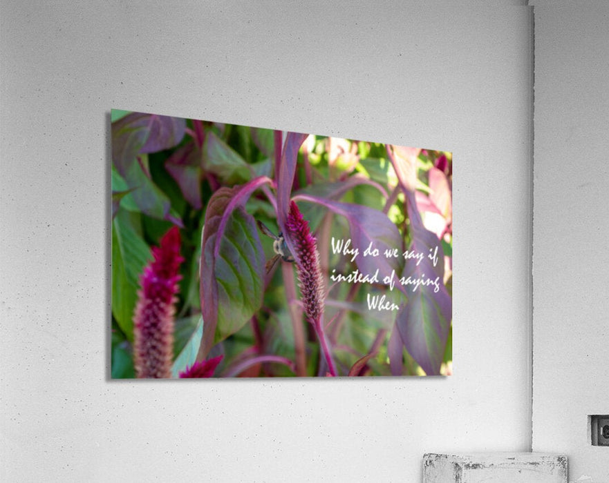 Wall Picture Frames - Why Do | BR Fashions LLC