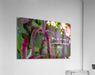 Wall Picture Frames - Why Do | BR Fashions LLC