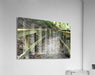 Wall Picture Frames | The Trail of Life – BR Fashions LLC