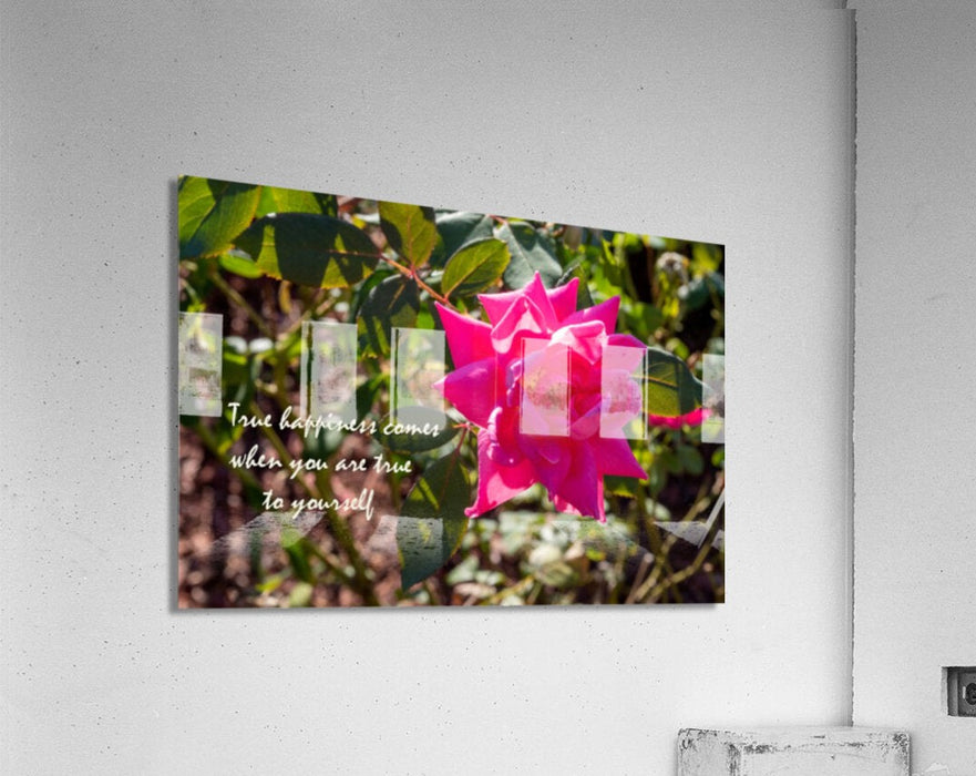 True Happiness Wall Picture Frames - BR Fashions LLC