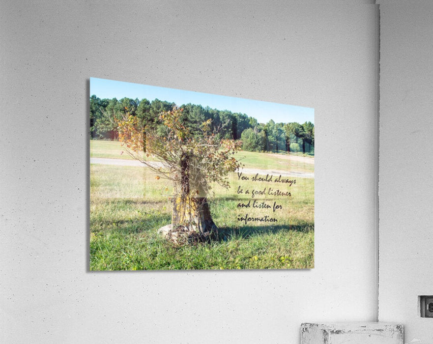 Wall Picture Frames | BR Fashions LLC