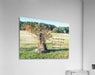 Wall Picture Frames | BR Fashions LLC
