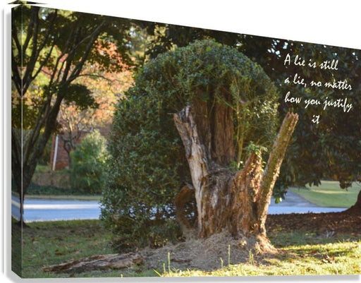 A Lie - wall picture frames