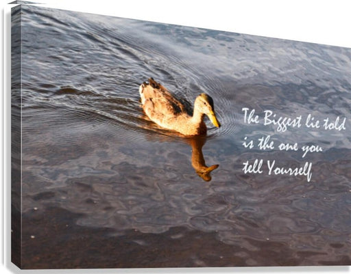 Biggest Lie - wall picture frames