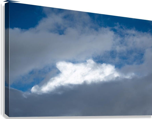 2262509 :: Giclée Stretched Canvas Print