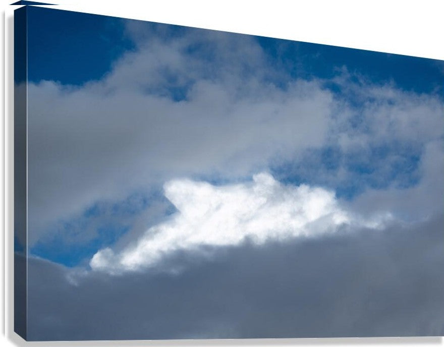2262509 :: Giclée Stretched Canvas Print
