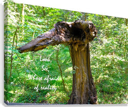 Wall Picture Frames | Look See Collection - BR Fashions LLC