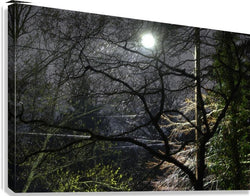 Night Life Wall Picture Frames | BR Fashions LLC