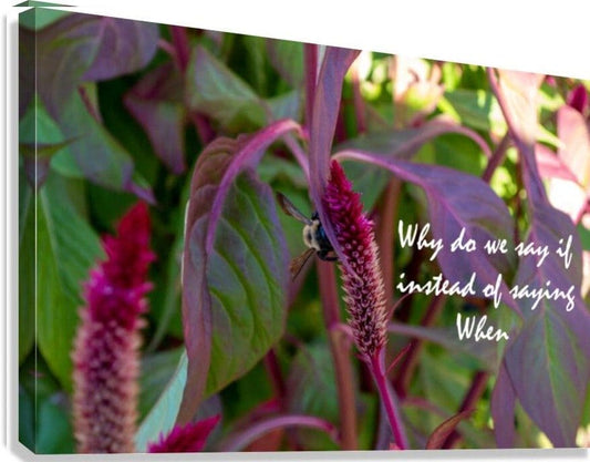 Wall Picture Frames - Why Do | BR Fashions LLC