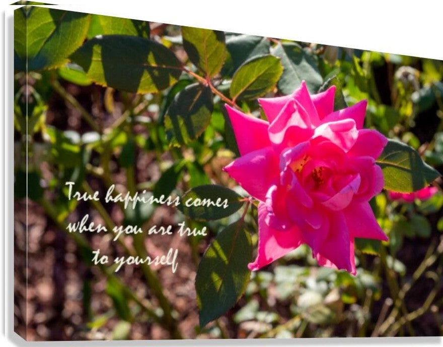 True Happiness Wall Picture Frames - BR Fashions LLC