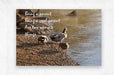 2262503 :: Brushed Metal Print
