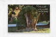 2262506 :: Brushed Metal Print
