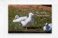 2262508 :: Brushed Metal Print