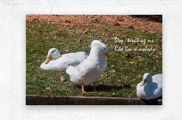2262508 :: Brushed Metal Print