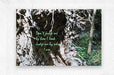 2262510 :: Brushed Metal Print
