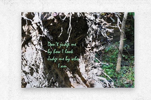2262510 :: Brushed Metal Print