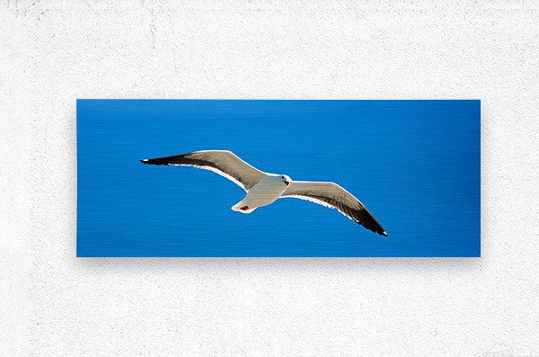 2262513 :: Brushed Metal Print