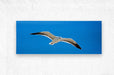 2262513 :: Brushed Metal Print