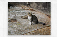 2262521 :: Brushed Metal Print