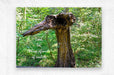 Wall Picture Frames | Look See Collection - BR Fashions LLC
