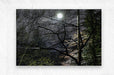 2262529 :: Brushed Metal Print