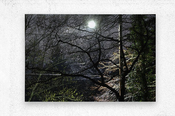 2262529 :: Brushed Metal Print