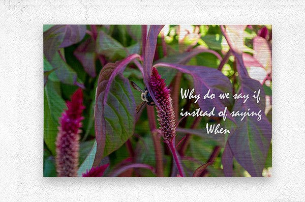 Wall Picture Frames - Why Do | BR Fashions LLC