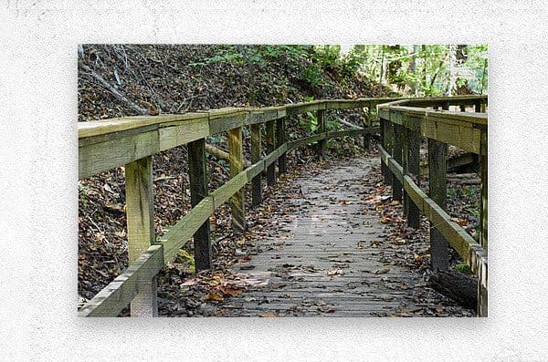 Wall Picture Frames | The Trail of Life – BR Fashions LLC