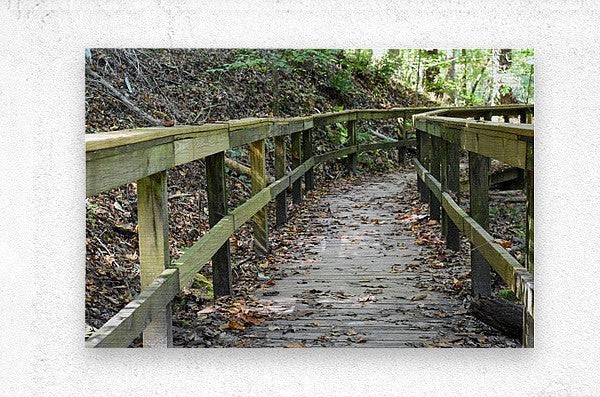 Wall Picture Frames | The Trail of Life – BR Fashions LLC