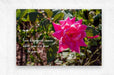 True Happiness Wall Picture Frames - BR Fashions LLC
