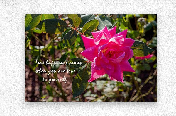 True Happiness Wall Picture Frames - BR Fashions LLC