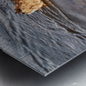 2262507 :: Brushed Metal Print