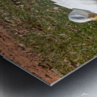 2262508 :: Brushed Metal Print