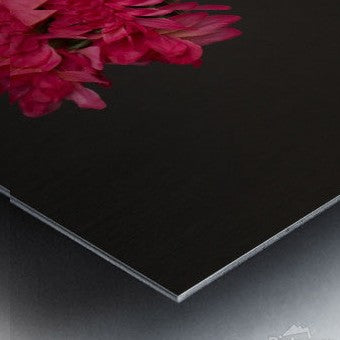 2262518 :: Brushed Metal Print