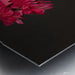 2262518 :: Brushed Metal Print
