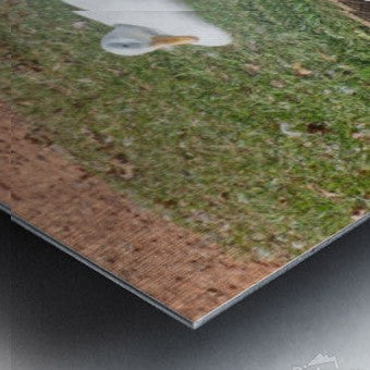 2262527 :: Brushed Metal Print