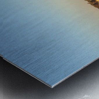 2262530 :: Brushed Metal Print