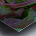 Wall Picture Frames - Why Do | BR Fashions LLC