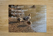 2262503 :: Puzzle Print