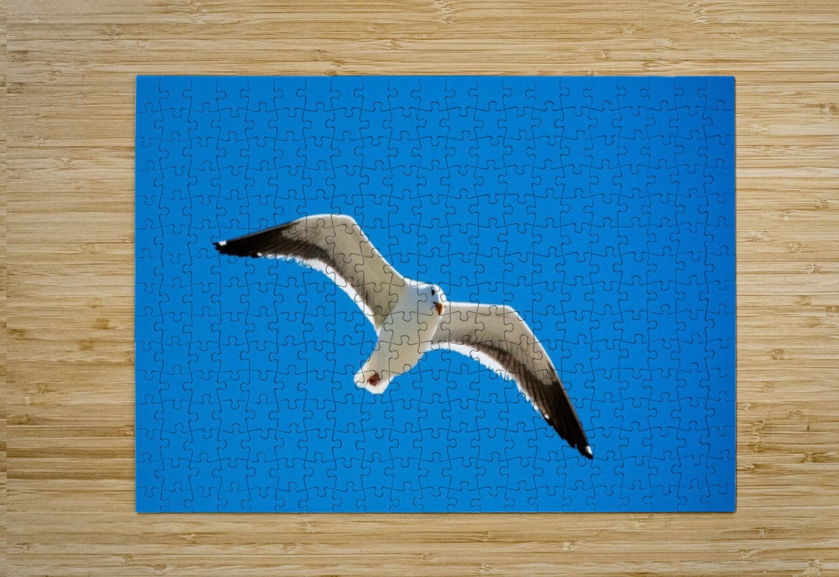 2262513 :: Puzzle Print