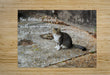 2262521 :: Puzzle Print