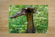 Wall Picture Frames | Look See Collection - BR Fashions LLC