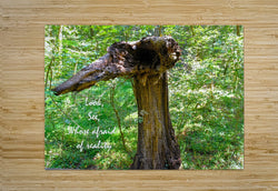 Wall Picture Frames | Look See Collection - BR Fashions LLC