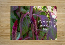 Wall Picture Frames - Why Do | BR Fashions LLC