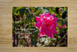 True Happiness Wall Picture Frames - BR Fashions LLC