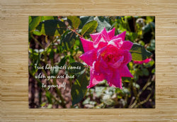 True Happiness Wall Picture Frames - BR Fashions LLC