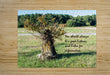 Wall Picture Frames | BR Fashions LLC