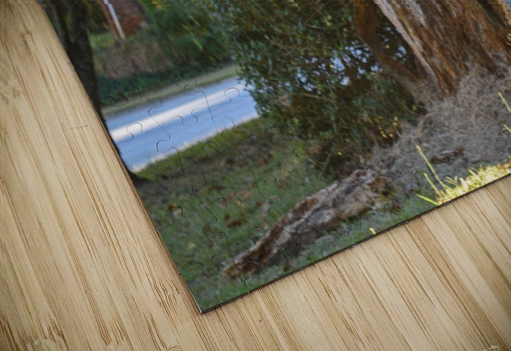 2262506 :: Puzzle Print