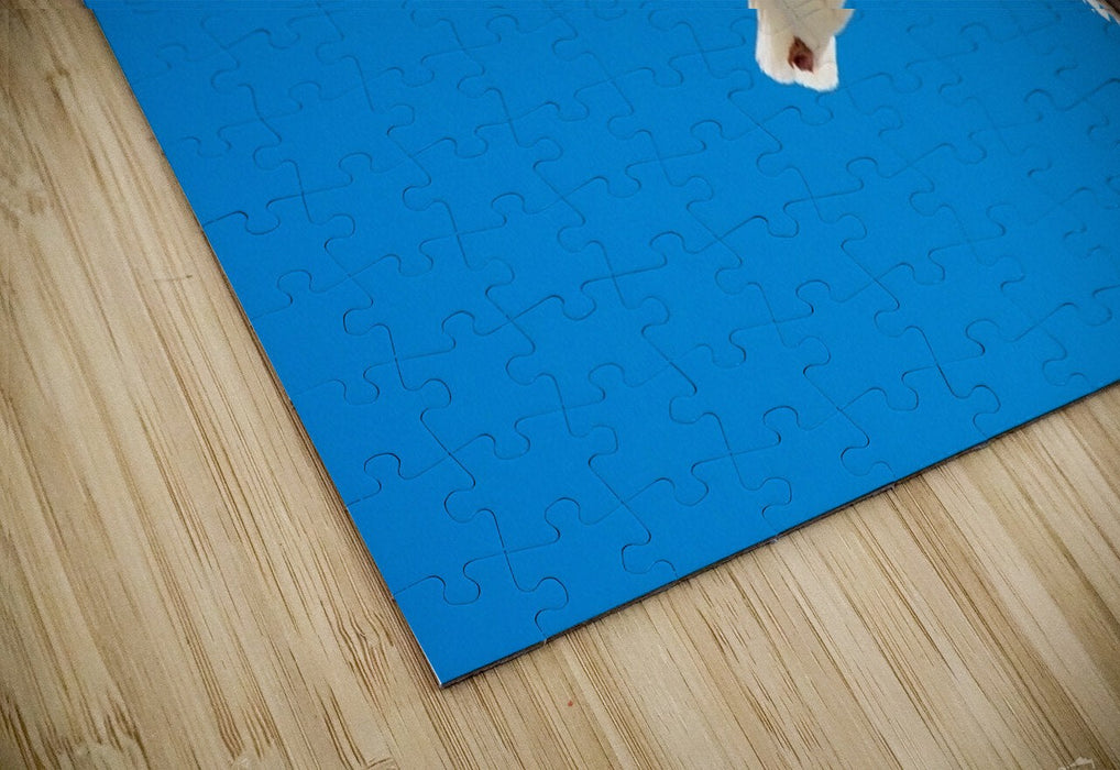 2262513 :: Puzzle Print