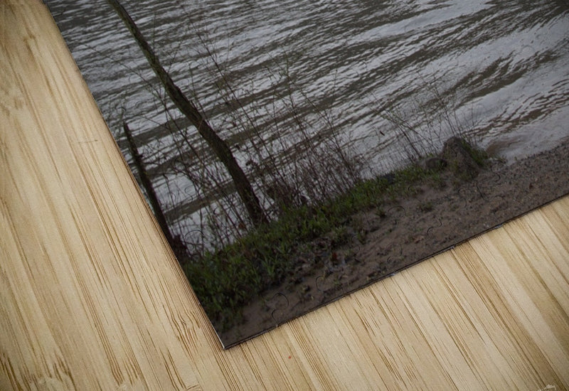 2262516 :: Puzzle Print